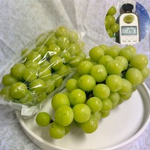 샤인머스켓 1kg 2kg 4kg 국내산 8월 제철 고당도 껍질째 먹는 샤인머스캣 씨없는 청포도 선물용 가정용 특품 정품, 가정용 1kg(2~3수 내외)