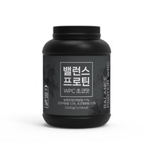 힐스랩 밸런스 프로틴 WPC 초코맛 2kg