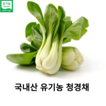 국내산 친환경 유기농 청경재 200g 국산 친환경 싱싱한 청경채 이유식 야채 샐러드 최상급 식재료 채소