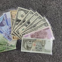 지폐홀더 100장지폐 동전앨범 지폐보관팩 지폐수집용품 _ 2023895EA, 쿠팡 본상품선택