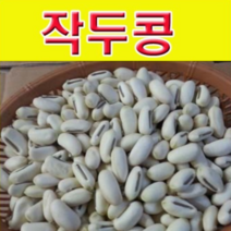 (J소망)작두콩씨앗 500g