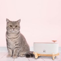 저소음 강아지 고양이 플라워 세라믹 정수기 급수기 (필터) (원목받침대), 정수기+원목받침대