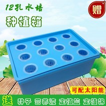 베란다 재배 디바이스 반찬 기계 방안 워터 상자를 심는 플라스틱화분 가든픽, T03-발롱블루 산소증폭 물 배상자, C01-중하