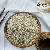 특품 2022년 국산 오색보리쌀 흑보리 자색보리 청보리 늘찰보리 쌀찰보리, 1개, 500G