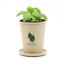 홈가든 바질 토마토 나팔꽃 봉선화 해바라기 패랭이 씨드볼 씨앗키우기 DH32898319, 패랭이꽃