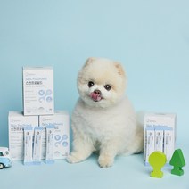 댕댕백서 스킨프로쉴드 강아지 고양이 피부피모 유산균 영양제 분말형 60g, 피부&피모, 1개