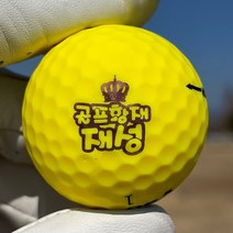 [주문제작] 골프공 이름도장 + 리필잉크 / 더블빅사이즈 23mm 골프 볼마커, 랜덤, 블루  5ml