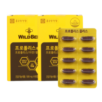 종근당 와일드비 프로폴리스플러스 500mgX60캡슐 프로폴리스/아연/셀렌 2개월분, 1통, 60캡슐