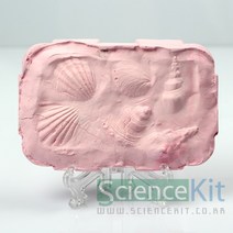 화석표본액자(4인용)-JSK