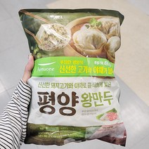 풀무원 생가득 평양왕만두 490g x 2 x 1개_보냉백포장, 아이스보냉백포장