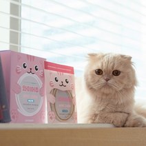 캣츠모리 고양이 덴탈껌 와이어츄 닭고기맛 1box