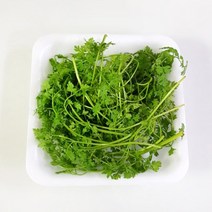 처빌 1팩 50g 허브 향신료, 단품