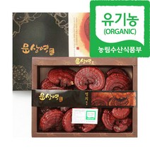 문상영버섯농장 유기농 영지버섯 500g 특품, 1개