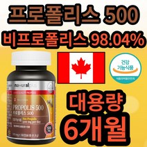 환절기 프로폴리스 500mg 플라보노이드 포르폴리스 폴라폴리스 비프로폴리스 캡슐 알약 항산화 도움 대용량 10대 20대 30대 40대 50대 부모님 은사 건강 기능 식품, 180캡슐(6개월)