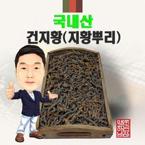 국내산 건지황 300g/100g (경북 영천) 말린지황 지황뿌리, 300g