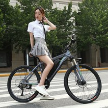 산악 전동변속 자전거 리튬전지36V13AH 주행거리 60KM 전기 자전거, 화이트
