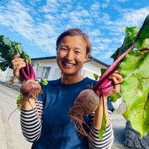 겨울 제주 레드비트 햇비트 최상급 제주비트 2kg 5kg 10kg 고당도 단단한 햇비트, 05) 특A급 레드비트 10kg