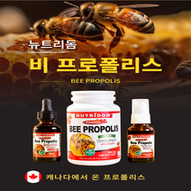 (2병) 캐나다 뉴트리돔 비프로폴리스 프로폴리스 원액 염증에 좋은 비염 면역력 높이는 약 스프레이 30ml