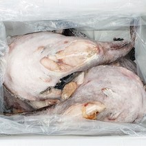물고기삼촌 최상급 냉동 아귀 5미 약10kg
