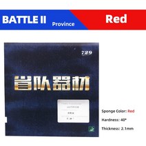 탁구 용품 연습 용품 솔로 729 Friendship Battle 2 시리즈 탁구 고무 전문 여드름 중급 및 고급 탁구 고, 09 Province 40 red