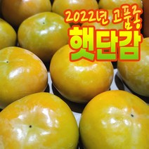 곶감용감 홍시감 대봉감 곶감만드는감 태추단감 땡감 떫은감 소과 중과 대과 2.5kg 4kg 5kg 10kg 송본 부유 진영 전라도 햇감 중과 대과 햇감, 일반단감(품종랜덤), 2.5kg(14-18과)
