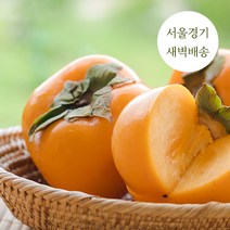 새벽배송 당일배송 프리미엄 단감 당도최고 5kg 10kg 새벽경매 가락시장, 단감 10kg 70~84과, 1개