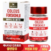 [설날 특가] 건조효모 콜레우스 포스콜리 결정판 60정 셀레늄 판토텐산 칼슘, 1개