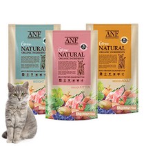 ANF 6Free 캣 고양이사료 5.6kg, ANF 6free 캣 키튼 5.6kg (23/9/22), 간식 증정