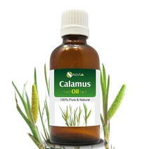 Salvia Amber Bottle Calamus Oil (Acorus Calamus) 치료 에센셜 오일 100% 천연 언컷 비희석 순수 냉압 아로마테라피 프리미엄 오일170910