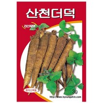 산천 더덕 씨앗 (3g) 텃밭 쌈채소 종자 키우기 .미미네아쿠아