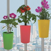 수직기둥걸이 화분, 초록색