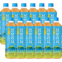 기타 쟈뎅 제주의 봄 청보리차 500ml x 12pet, 1세트