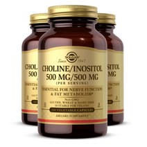 솔가 콜린 이노시톨 500mg 100식물성 캡슐 3개, 100개입, 100정