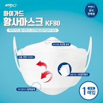대박이네 하이가드 황사마스크 KF80 1매입 (대형), 10개, 10매