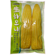 옥수수 씨앗 초당계 고급품종 먹는순간 나도 모르게 하모니가