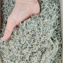 국산 볶음용 햇 지리멸치 1.5kg (상급) 우리바다자연식품, 1개