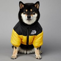 2023 SUPREPET패딩 개 겨울 옷 따뜻한 방풍 솔리드 코트 코튼 디자이너 대형 강아지 액세서리, YELLOW+XXXL