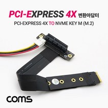 PCI E 4배 연장 NVMe M.2 Key M 변환 아답터/젠더/케이블, IF676