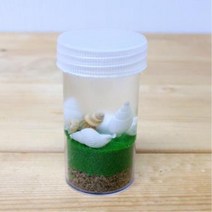 사고력향상 바다속 지층만들기 10인 조개껍질 홈스쿨 초등돌봄 실험 기초과학 모래