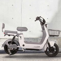 2023 레이윙 디스커버리 프레시 S10 전기 전동스쿠터 750w 16Ah, 블랙(16ah)