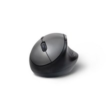 TG삼보 TG-TM215GN 그레이 무소음 버티컬 무선 마우스, 본상품선택, 본상품선택, 본상품선택