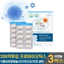 담다 신선한 유산균 아침 프로바이오틱스 프로바이오 스틱 텍스 200억 투입 특허받은 김치유산균 함유 캡슐 알약 아연 장용성 캐나다 로셀사 2중 코팅 장건강 유산균 온가족 임산부, 3개, 60캡슐