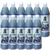 청솔 블루베리 음료베이스 835ml / 과일원액, 11개