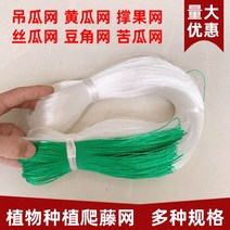 식물 등나무망 재배망 종자 멜론 콩뿔 오이 동부 여주 수세미 패션프루트망 농업용, 6*100m 두께 6홀 30 오이수세미망