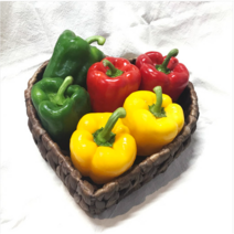 홍파프리카 노란파프리카 청피망 1kg
