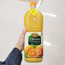 [홈플러스]롯데칠성_델몬트오렌지100_1.8L x 2개, 단품, 단품