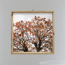 [천삼백케이] [꾸밈] th505-우드프레임액자풍요로운감나무(중형)