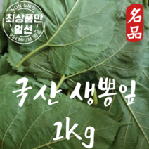 국산 뽕잎 생뽕잎 누에먹이 자연산뽕잎 1kg, 1개