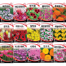 봄꽃 겹꽃 아마 부용화 아마 수국 세이지 아욱 플록스 국화 접시꽃 데이지 양지꽃 나팔꽃 사루비아 풍접초 투베로사 아도니스 클라키아 채송화 장미 봉선화 해바라기 꽃잔디 씨앗, 만수국