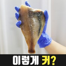 [아주 크고 맛있는] 국산 참가자미 3팩(6마리), 1. 중_220g 3팩(9마리)